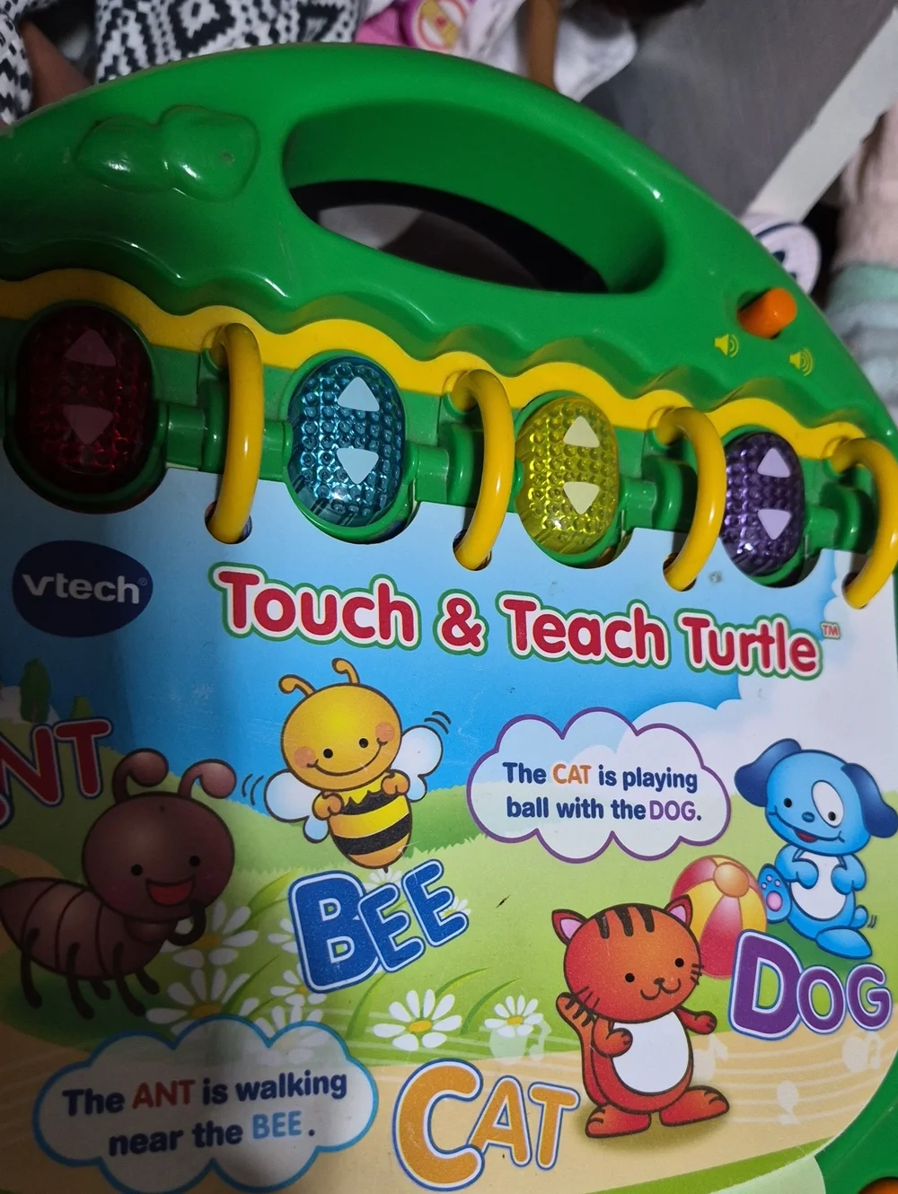 TOUCH AND TEACH TURTLE